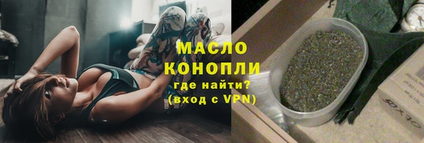 индика Нягань