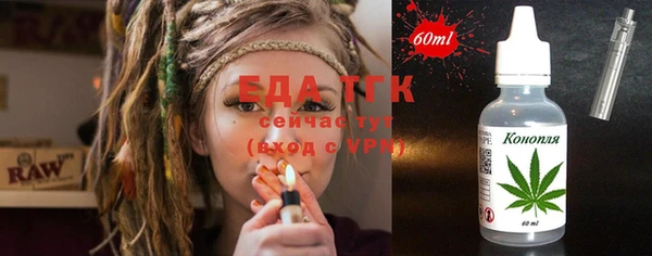 индика Нягань