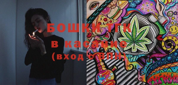 индика Нягань