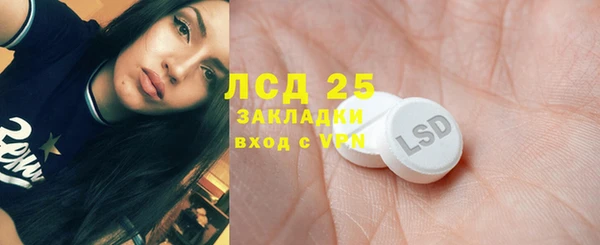 индика Нягань