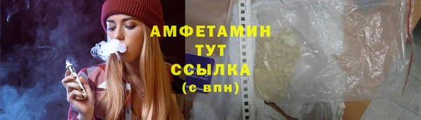 индика Нягань
