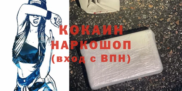гашик Новокубанск