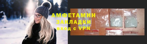 индика Нягань