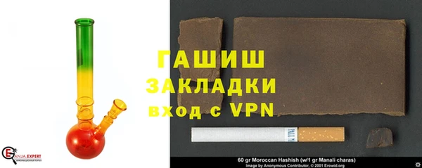 индика Нягань