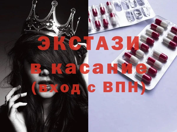 индика Нягань