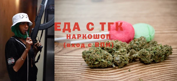 индика Нягань