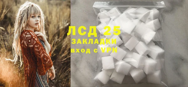 индика Нягань